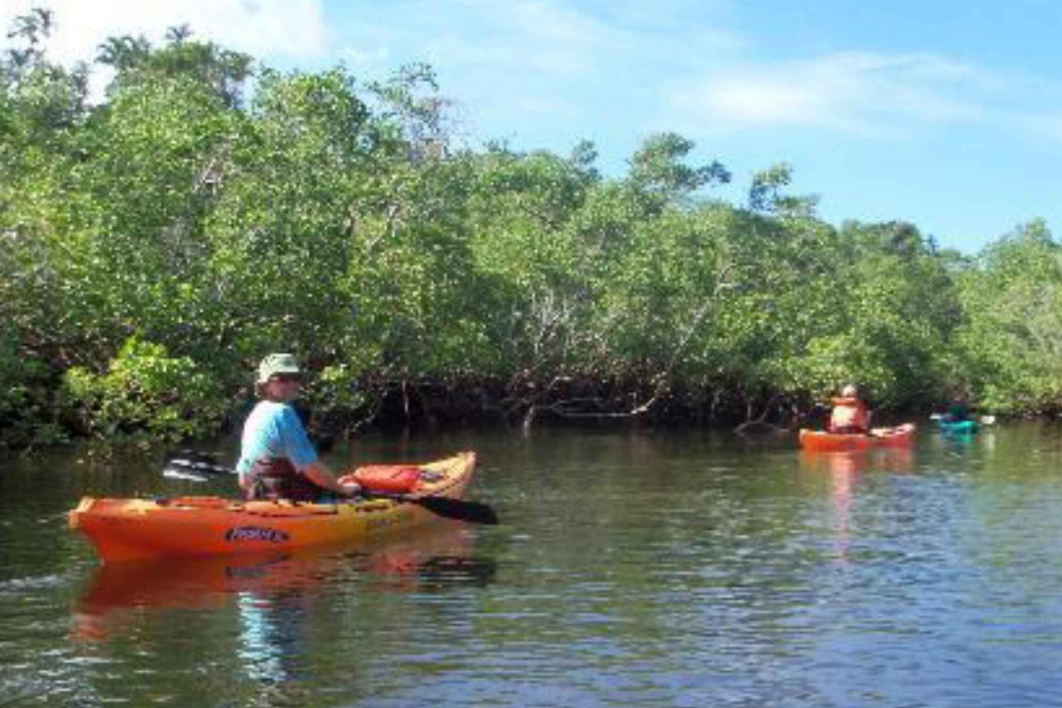 Занзибар: экскурсия по лесу Джозани и пещере Салам