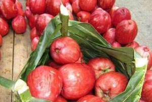 Pemba Island: Kryddodling och Vumawimbi Beach Tour