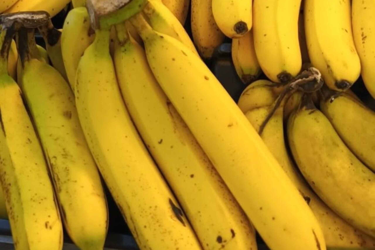 Остров Пемба: экскурсия по ферме специй, Чаке-Чаке и Пуджини