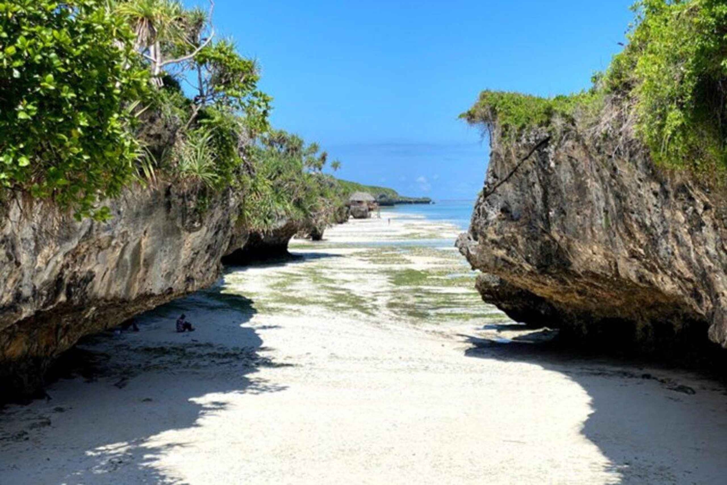 Pemba: Mchangamkuu Mangroven- und Dhow-Bau-Tour