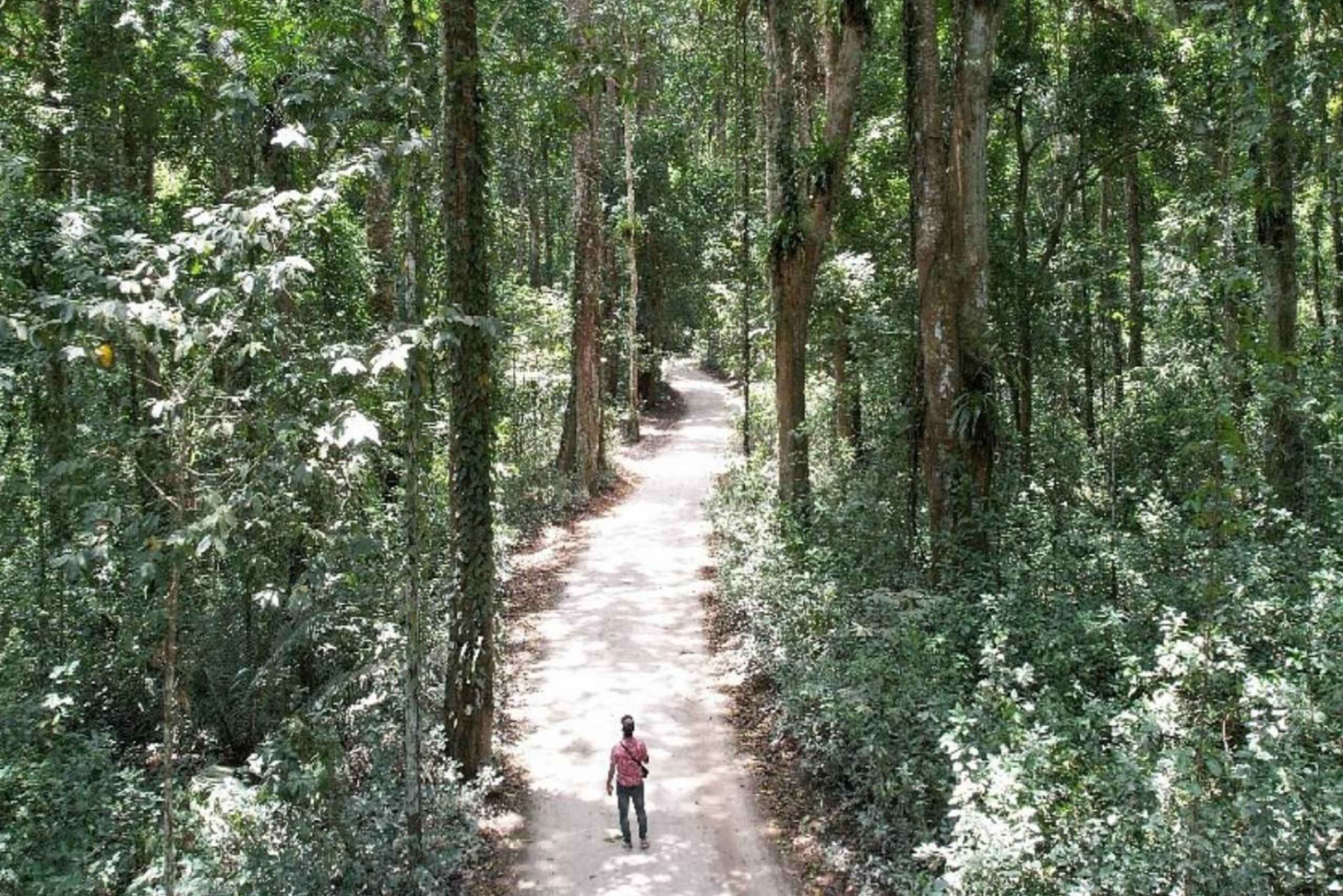 Pemba: Ngezi-metsä ja Vumawimbi-ranta -kierros