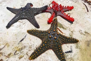 Pemba: Wycieczka z gwiazdami morskimi