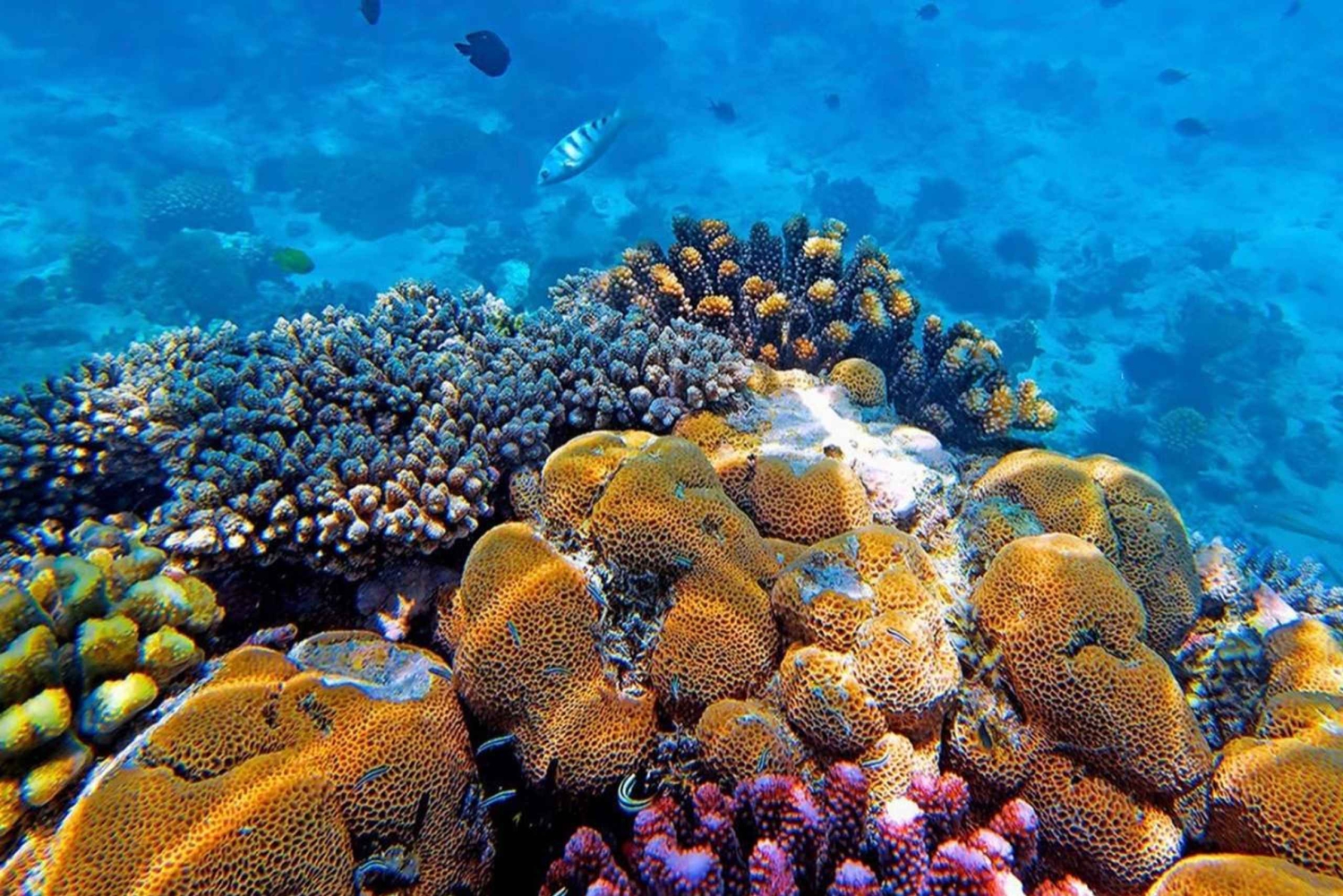 Занзибар: Кристальные воды Кузы и ресторан The Rock