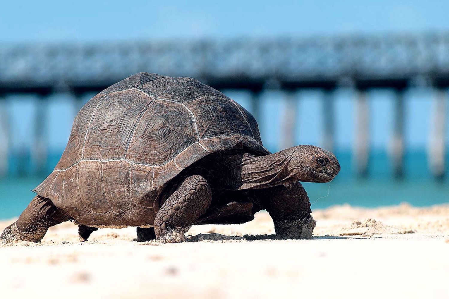 Île-prison et banc de sable de Nakupenda