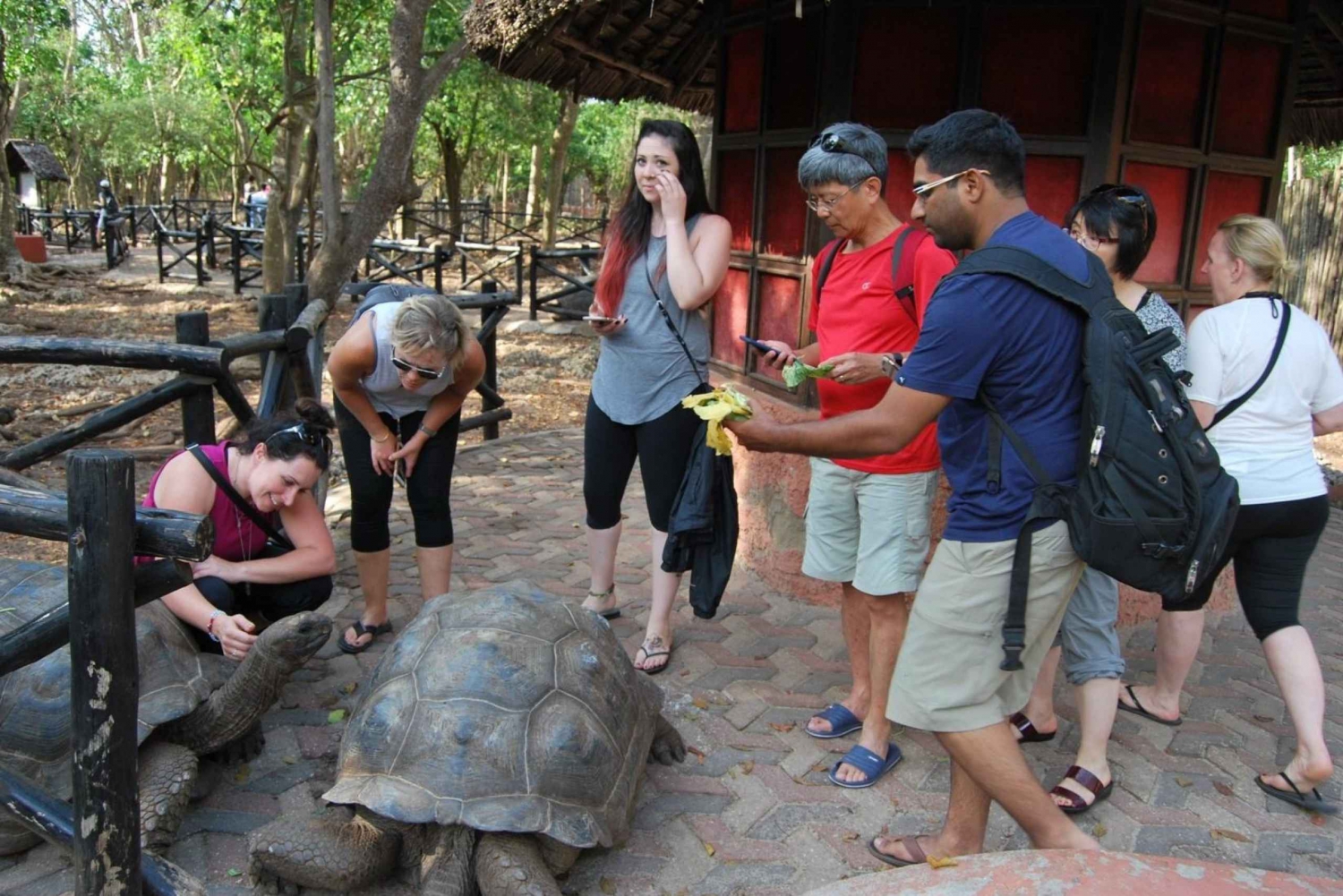 Экскурсия на остров Призон