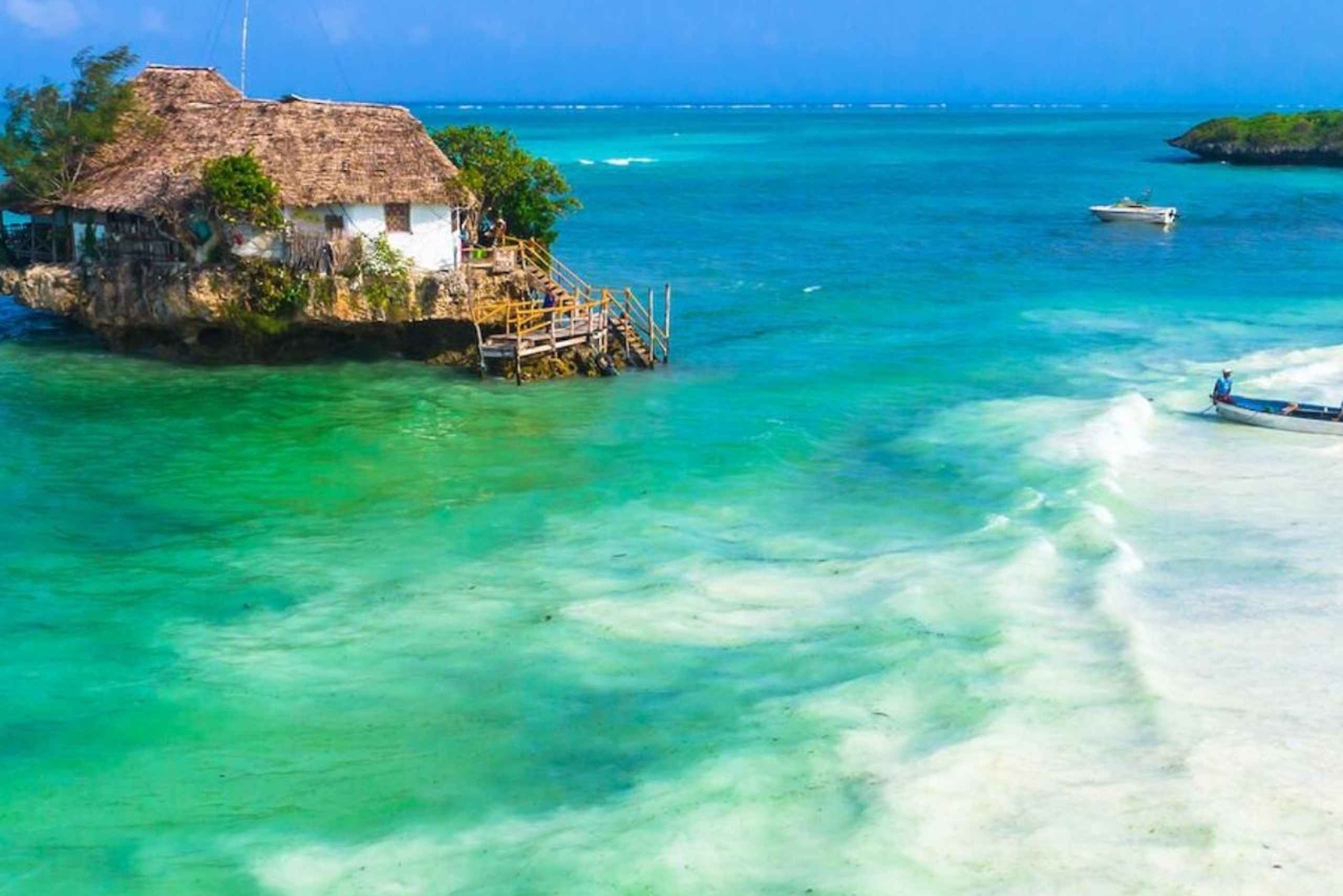 Santuario de tortugas marinas, centro de mariposas y restaurante The Rock