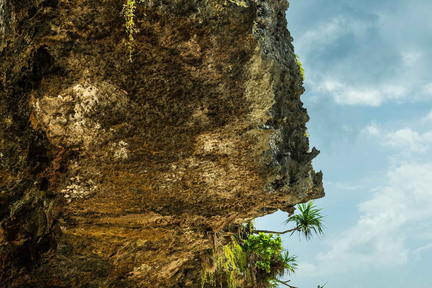 Zanzibar : Secret Beach, Kuza Cave and Jozani with transfer