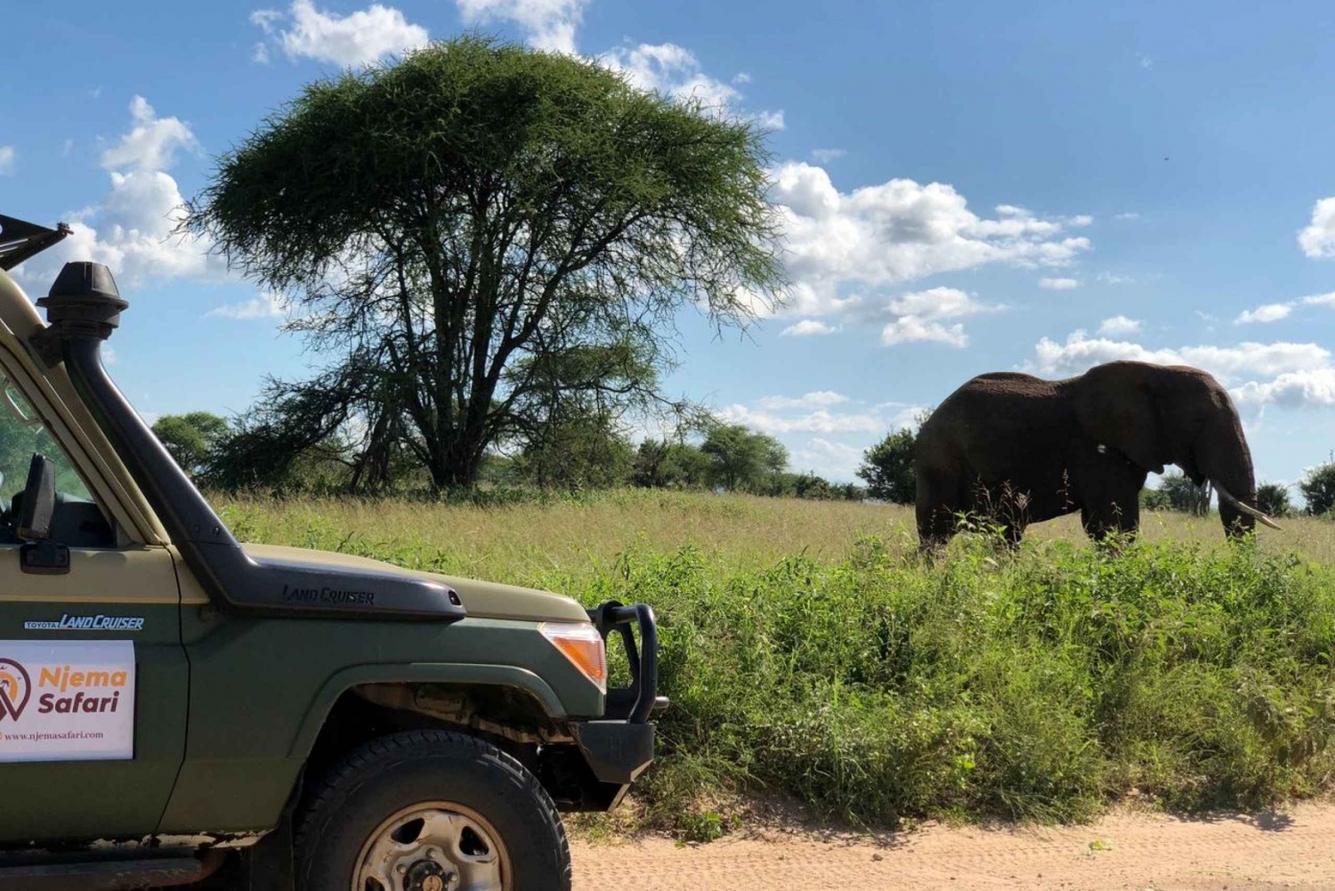 Vanuit Zanzibar: Nyerere National Park Game Drive met lunch
