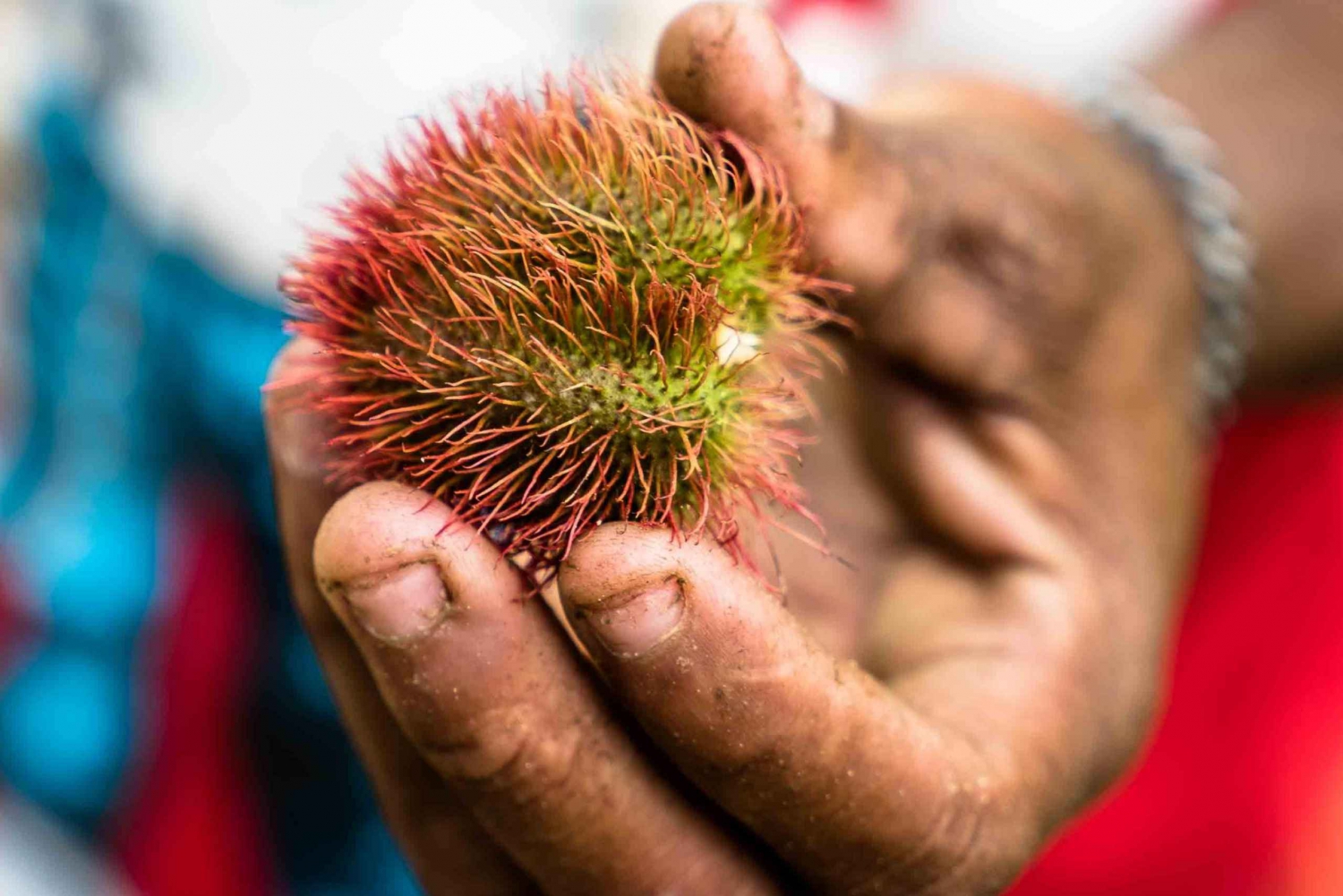Spice Farm - würze dein Leben auf Sansibar