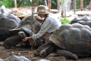 Zanzibar: Kryddtur och Stone Town-tur