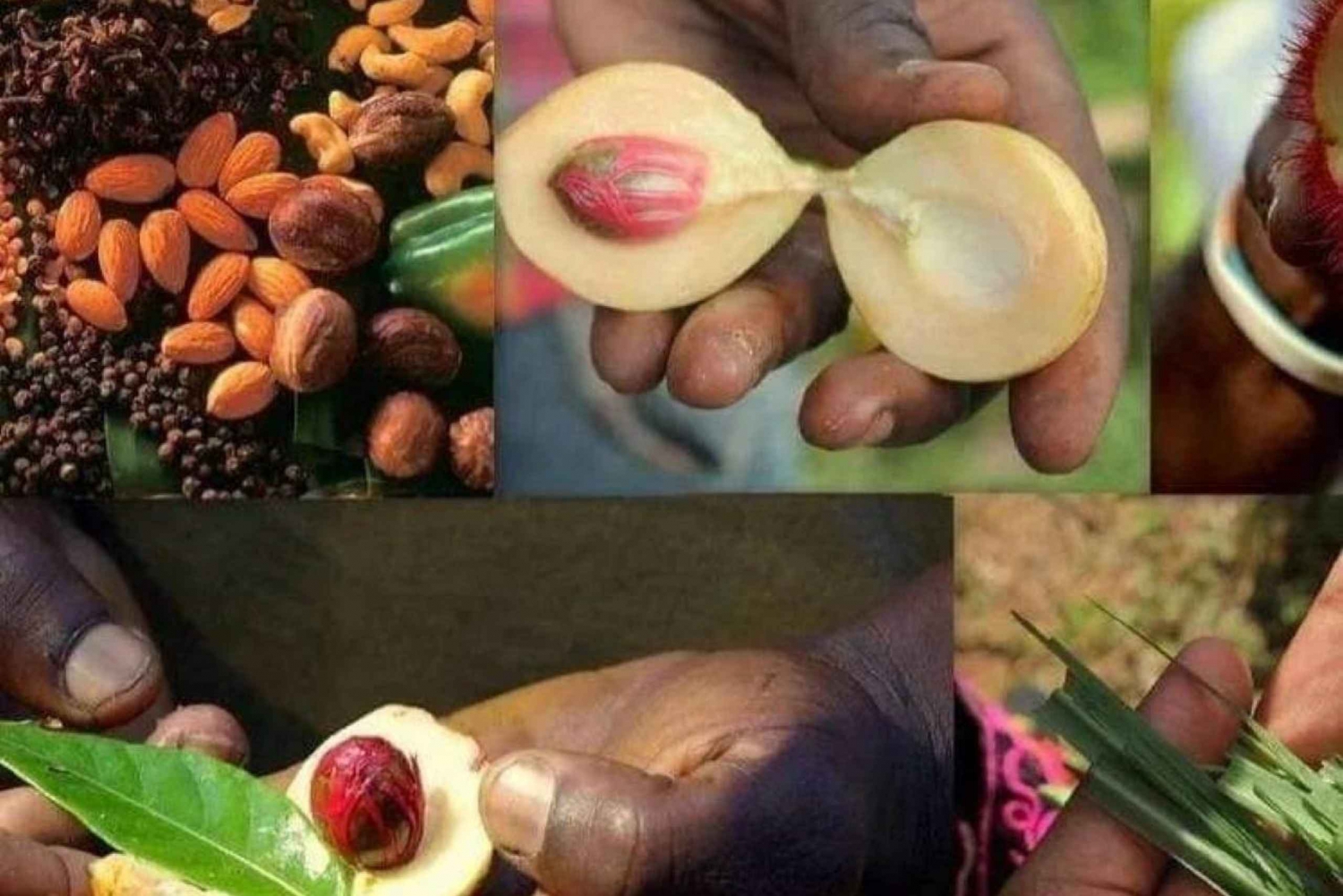 Zanzibar: Krydderrundtur og omvisning til fots i Stone Town