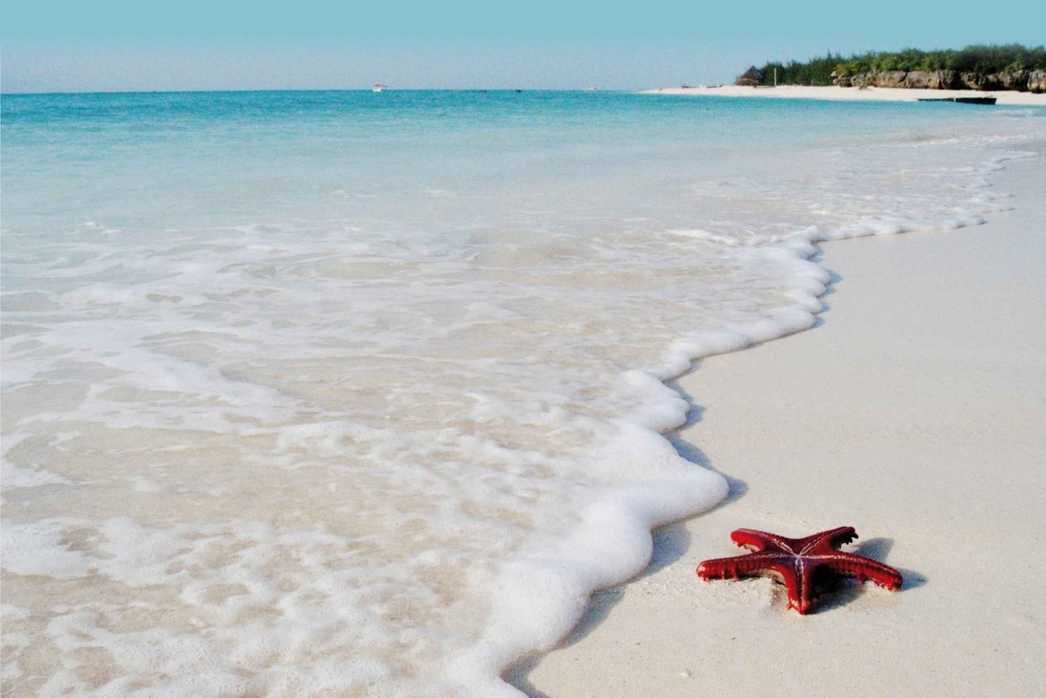 Avventura con le stelle marine, Pranzo alla Roccia, Tour dei delfini di Mnemba
