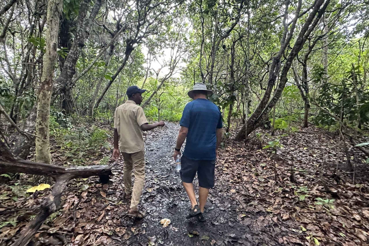ZANZÍBAR: Stone Town, Prison Island y el bosque de Jozani.