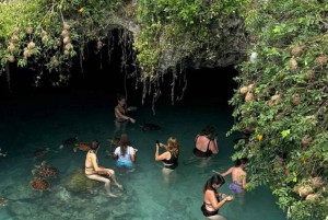 Nade com tartarugas na Salaam Cave, Kuza Cave e The Rock Restaurant