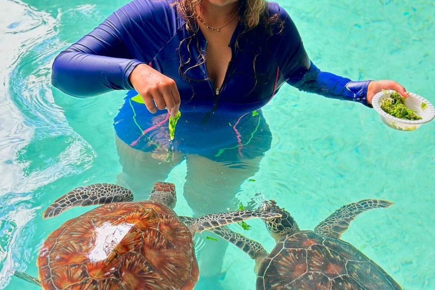 Swim with turtles at Salaam cave & The rock restaurant visit