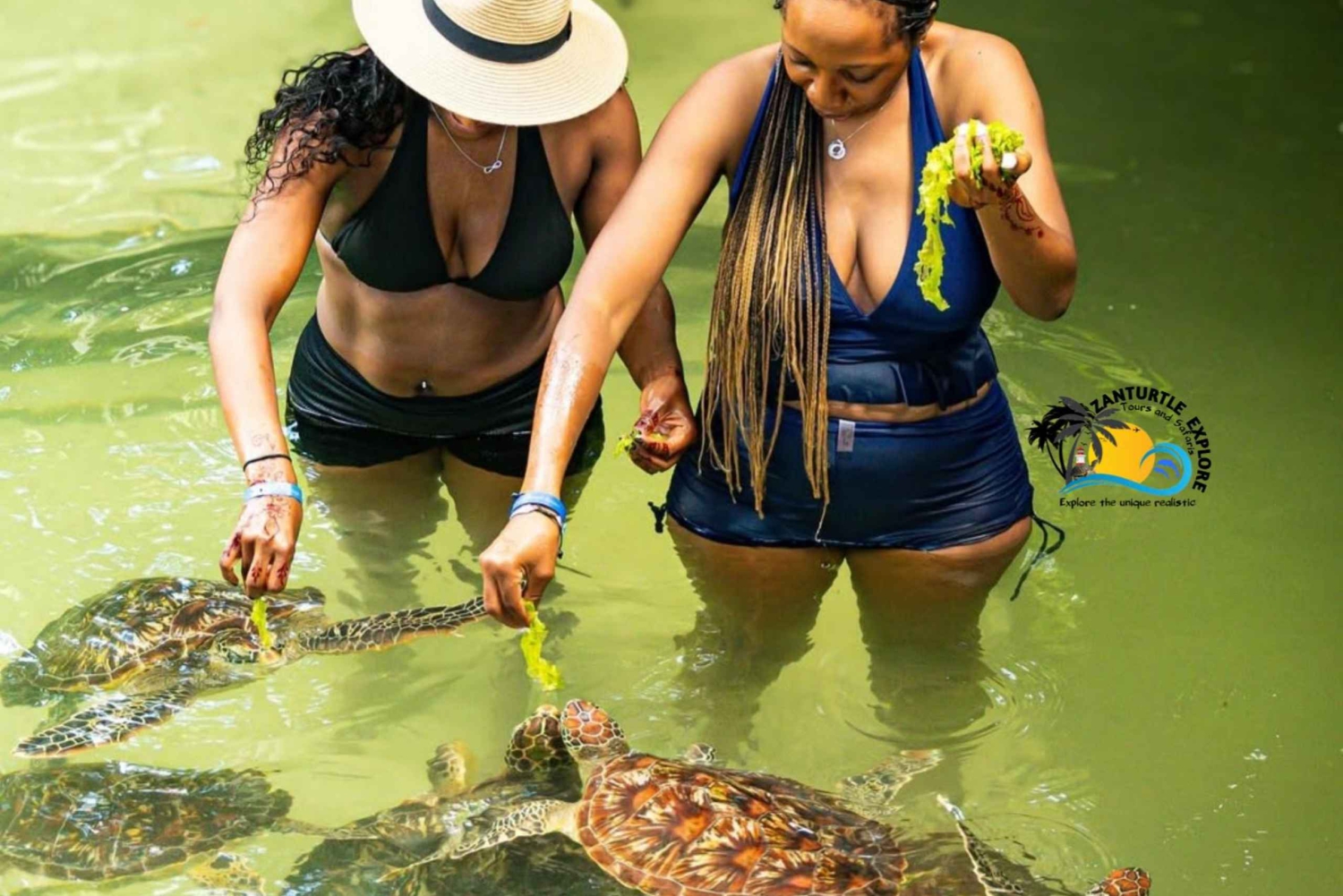 Svøm med skildpadder i The Lagoons Zanzibar & Stone Town Tour