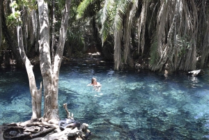 Tanzania: 8-dagars bilresa till Kilimanjaro, Lushoto och mer