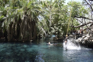 Tanzania: 8-dagars bilresa till Kilimanjaro, Lushoto och mer