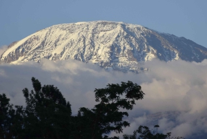 Tanzania: 8-dagars bilresa till Kilimanjaro, Lushoto och mer