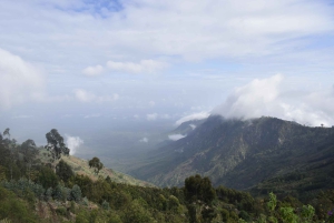 Tanzania: 8-dagars bilresa till Kilimanjaro, Lushoto och mer