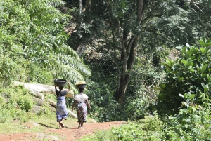 Tanzania: 8-dagars bilresa till Kilimanjaro, Lushoto och mer