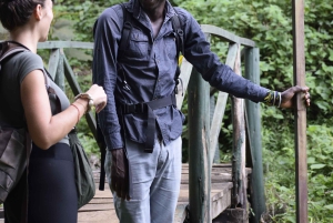 Tanzania: 8-dagars bilresa till Kilimanjaro, Lushoto och mer