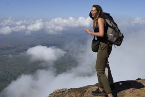 Tanzania: 8-dagars bilresa till Kilimanjaro, Lushoto och mer