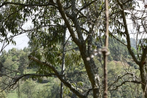 Tanzania: 8-dagars bilresa till Kilimanjaro, Lushoto och mer