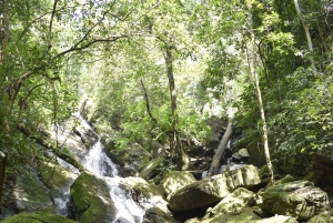 Tanzania: 8-dagars bilresa till Kilimanjaro, Lushoto och mer