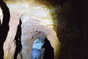 Tanzania: 8-dagars bilresa till Kilimanjaro, Lushoto och mer