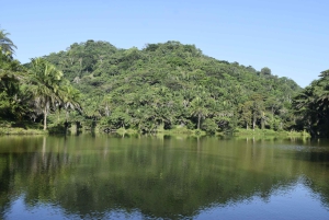 Tanzania: 8-dagars bilresa till Kilimanjaro, Lushoto och mer