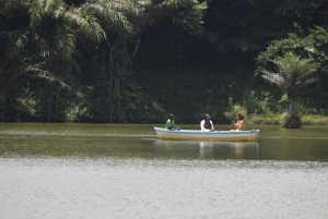 Tanzania: 8-dagars bilresa till Kilimanjaro, Lushoto och mer