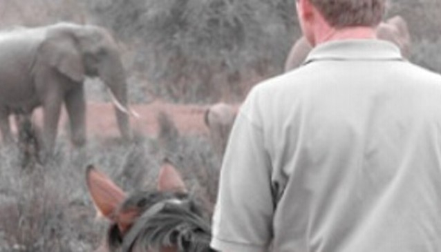 Tanzania Riding Safaris