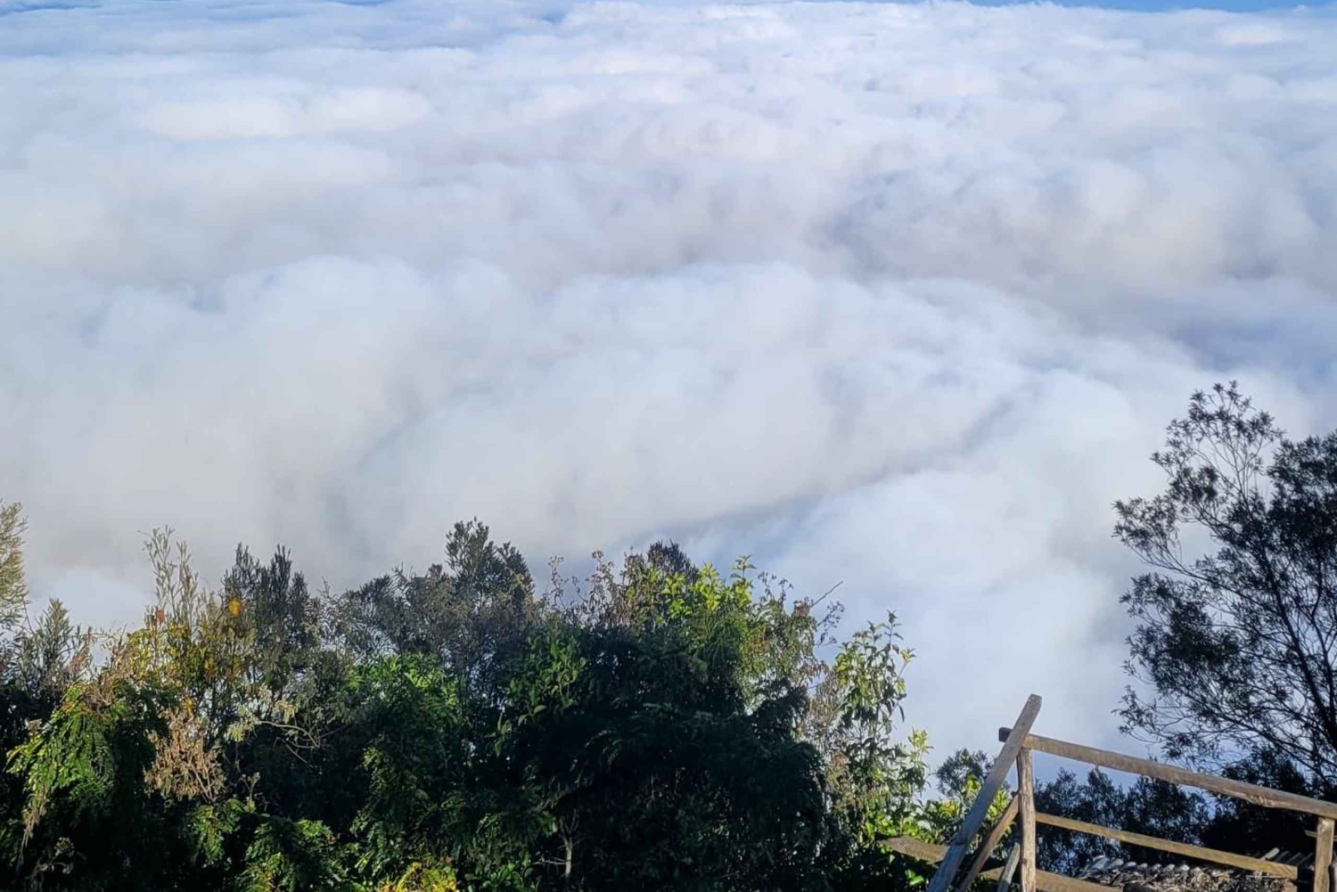 USAMBARA: 4-Day Usambara Mountains Trekking Tour