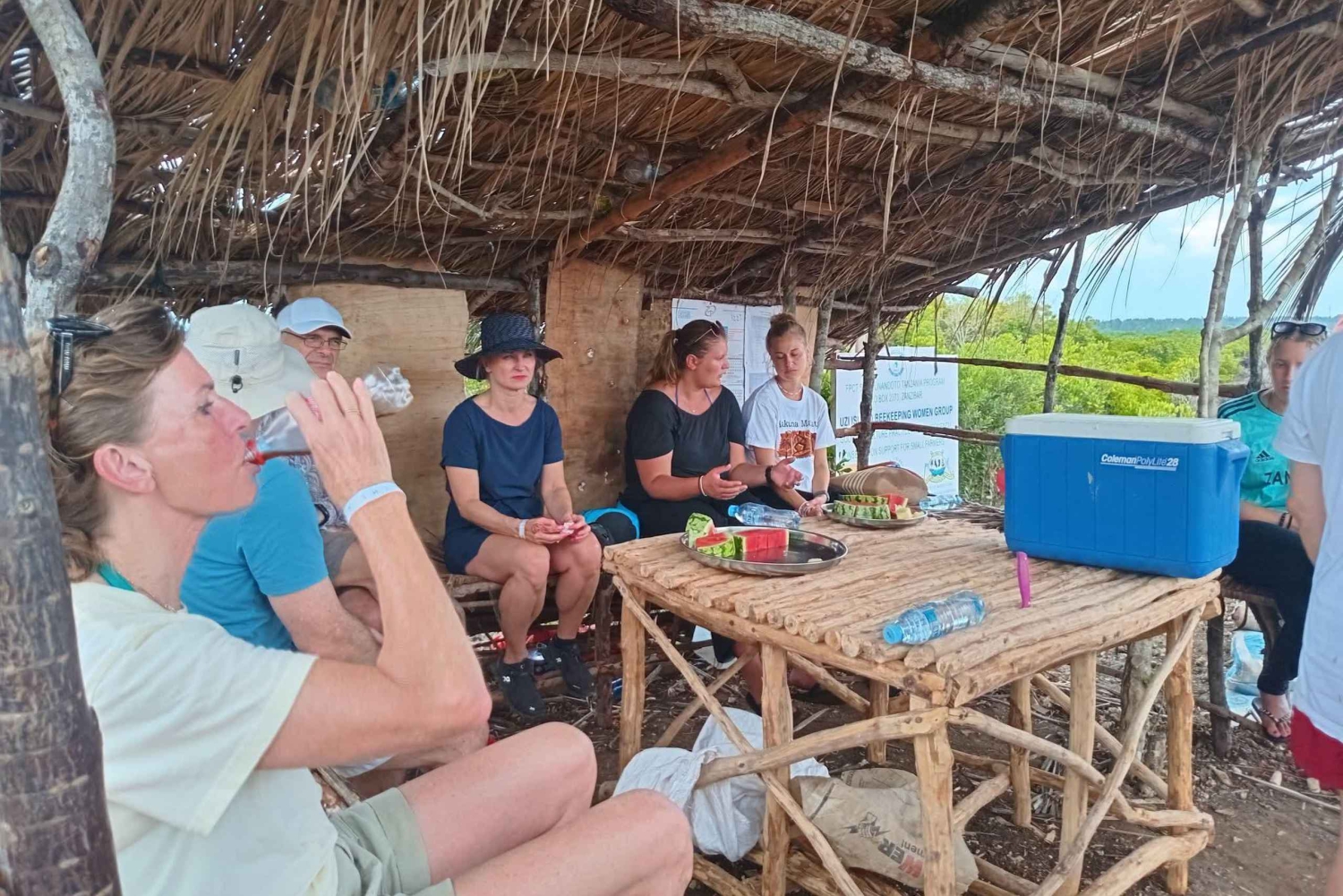 MNEMBA-DELFINTOUR, DAS LAGOON AQUARIUM & SONNENUNTERGANG IN KENDWA