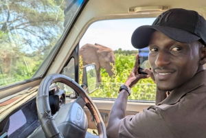 Занзибар: 2-дневный сафари в Нгоронгоро и Тарангире с перелетами