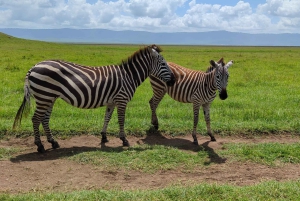 Занзибар: 2-дневный сафари в Нгоронгоро и Тарангире с перелетами