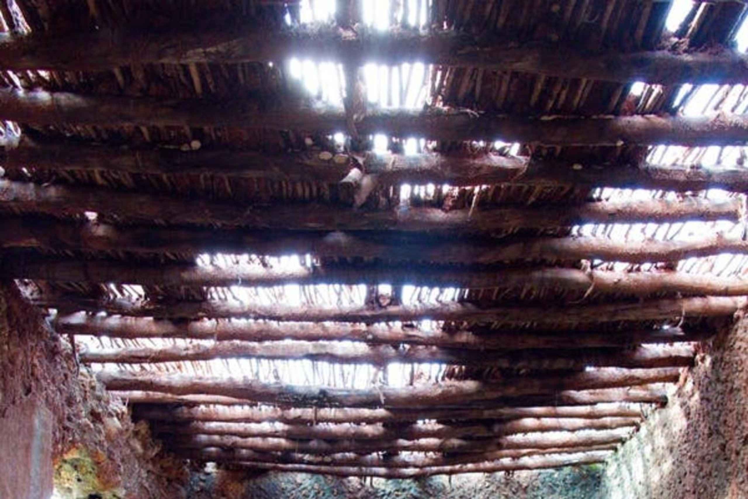 Zanzibar: lokal matlagningskurs och rundtur på kryddgård