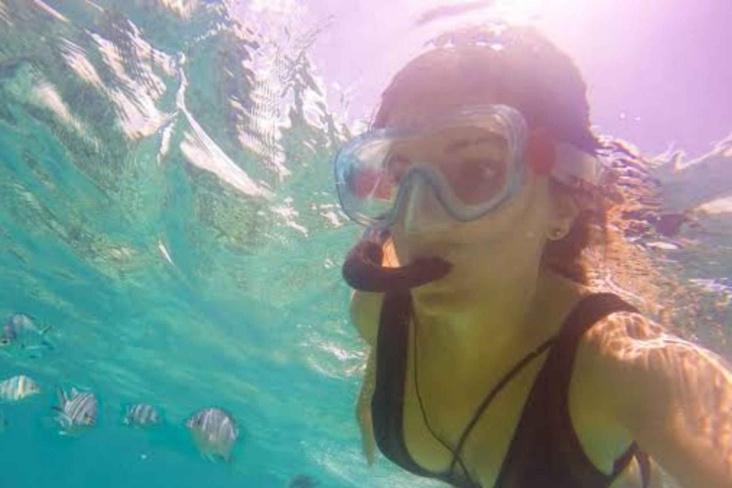 ザンジバル：ブルーラグーン、ヒトデ、カメと泳ぐサラーム洞窟をご覧ください