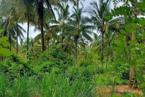 Zanzibar: Kokosnötplantage-tur och solnedgångskryssning