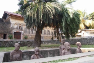 Zanzibar-kombo: privat steinby, krydderfarm og sommerfugl