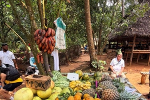 Zanzibar-kombo: privat steinby, krydderfarm og sommerfugl