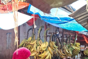 Zanzibar-kombo: privat steinby, krydderfarm og sommerfugl