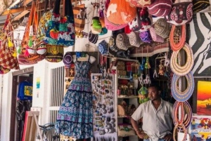 Zanzibar-kombo: privat steinby, krydderfarm og sommerfugl