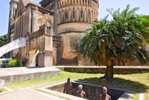 Zanzibar-kombo: privat steinby, krydderfarm og sommerfugl