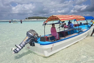 Занзибар: экскурсия с наблюдением за дельфинами, сноркелингом и экскурсией по Старому городу