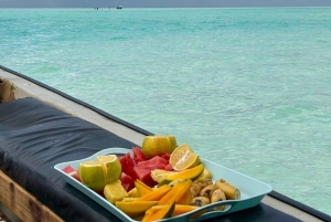 Занзибар: экскурсия с наблюдением за дельфинами, сноркелингом и экскурсией по Старому городу