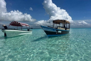 Занзибар: экскурсия с наблюдением за дельфинами, сноркелингом и экскурсией по Старому городу
