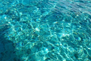 Занзибар: экскурсия с наблюдением за дельфинами, сноркелингом и экскурсией по Старому городу