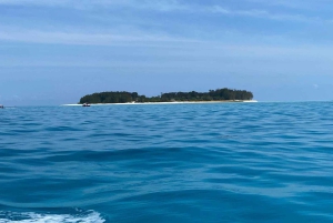 ザンジバル：イルカツアー、バラカ水族館、ケンドワビーチをご訪問ください